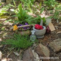 Our Apothecary Garden