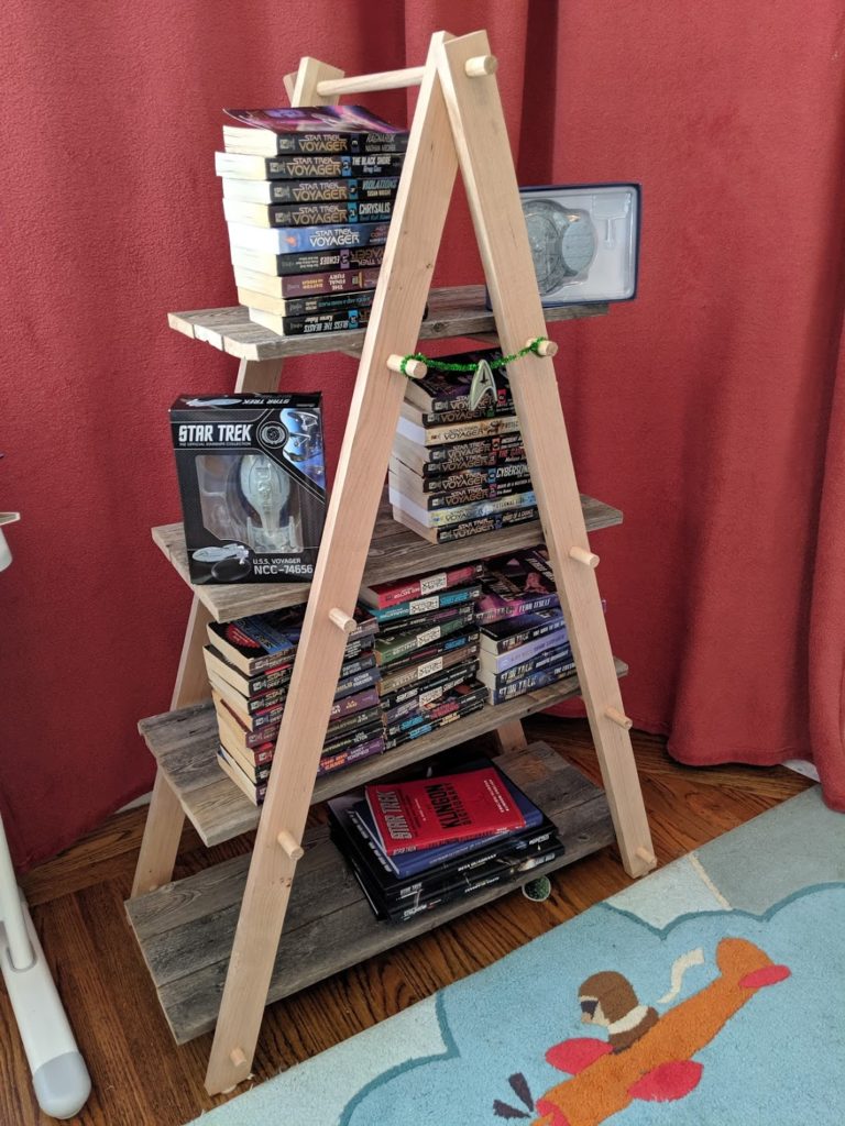 Finished DIY wooden ladder bookcase