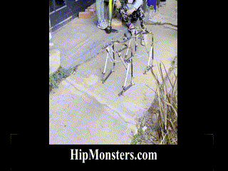 First test of the DYI robotic dog.