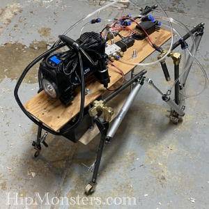 DYI Robotic Walker
