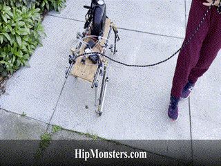DIY Robotic dog walking on sidewalk