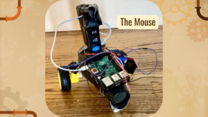 Steampunk mouse robot